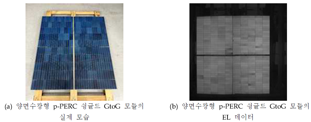 양면수광형 p-PERC 슁글드 GtoG 모듈의 사진 및 EL 데이터