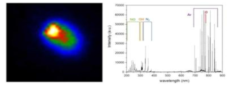 OES 및 ICCD 카메라를 이용한 라디칼 분석