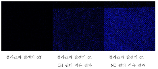 ICCD와 BPF를 이용한 SDBD 측정 결과