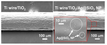 Ag-내장형 SiO2 나노입자의 유무에 따른 Ti 와이어/다공성 TiO2 광전극의 SEM 이미지. (좌) Ti 와이어/다공성 TiO2 광전극, (우) Ag-내장형 SiO2 나노입자가 코팅된 광전극