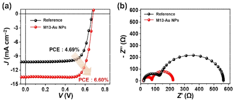 Au NPs-M13 박테리오파지 내장형 섬유형 염료감응 태양전지의 특성 분석. (a) J-V 특성 분석, (b) 전기화학적 임피던스 분광 분석