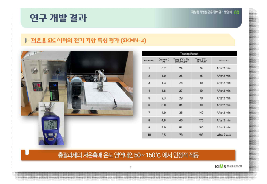 지능형 가열살균용 탄화규소 발열체 조성 (SKMN-2)의 저항특성 평가