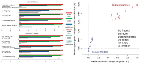 질병 모델별 사람과 마우스 간 signaling pathway와 유전자 발현 경향의 차이