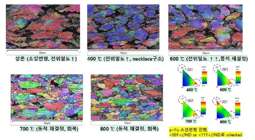 La 4원계 LaFe10.8Co1.1Si1.1 소재 열간 성형 후 EBSD 미세조직 분석 (Inverse pole figure)