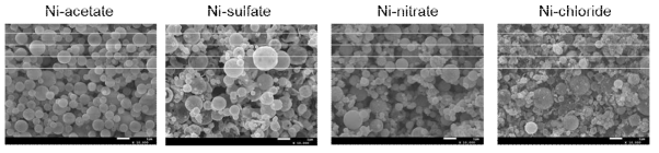 니켈염 종류에 따른 니켈 입자 SEM 사진