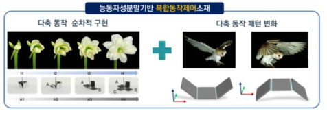 복합동작제어소재의 정의