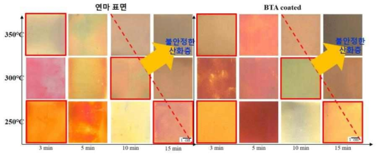 (1차년도 연구결과) 연마된 표면과 BTA가 도포된 인탈산동의 대기 고온산화 표면