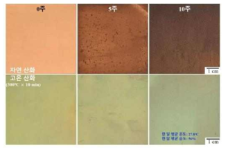 (1차년도 연구결과) 연마된 구리와 고온산화 산화물의 장시간 대기노출후 표면 변화