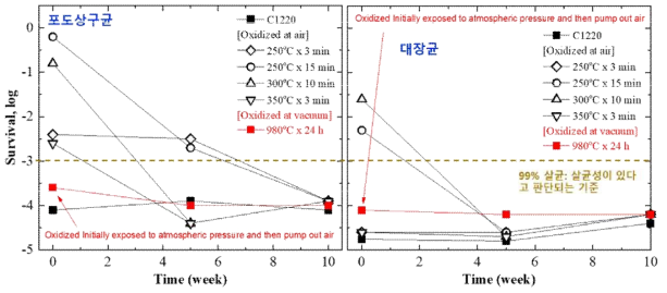 순동, 대기 고온산화, 진공 고온산화 시편의 대기노출 후 항균특성