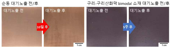 순동과 구리-구리산화막 bimodal 소재의 대기노출 전/후 표면사진