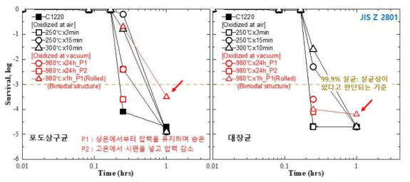 대기/진공 고온산화 시편과 진공 고온산화 후 압연 시편의 항균 특성 비교