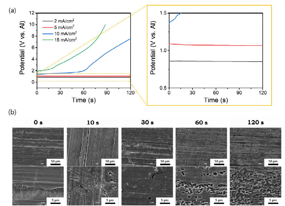 70℃, AU 1.4 용액에서 (a) 전처리 인가 전류밀도에 대한 전위 변화, (b) 5 mA/cm2의 전류밀도에서 반응시간에 따른 Cu 표면 SEM 이미지