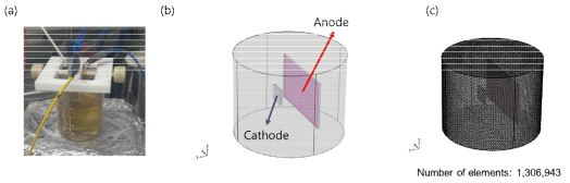 (a) 전해 도금조, (b) 전산해석 모델, (c) 모델의 메쉬 구조