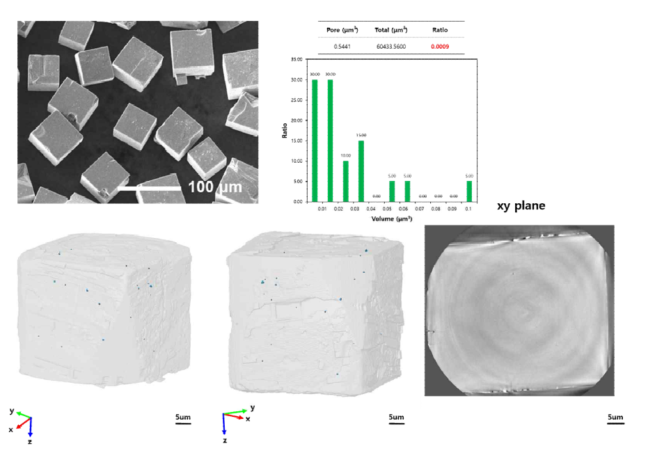KNN 계열의 큐빅형태의 압전소재의 SEM 이미지와 3차원 영상분석결과