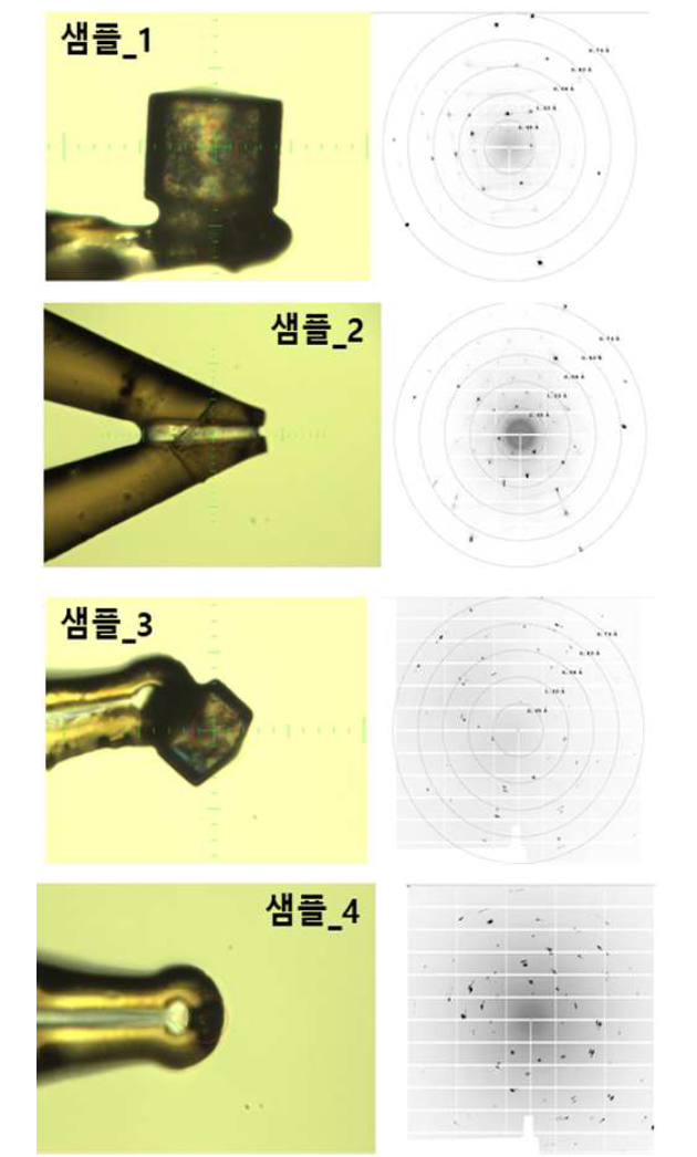 KNN계 압전 소재 시료 단결정 X-선 화절 패턴 측정 결과