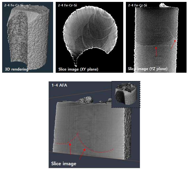AFA, Fe-Cr-Si 시편에 대한 3차원 영상 데이터와 단면 이미지