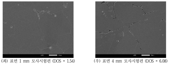 DL-EPR 시험 시편 조직분석 결과