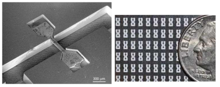 Microsclae 시편 (출처 : NIST)