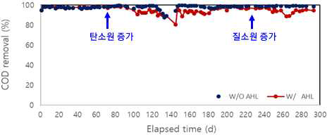 반응기 운전 기간 COD 제거효율