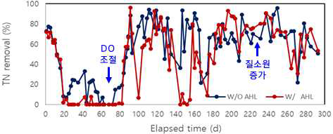 반응기 운전 기간 TN 제거효율
