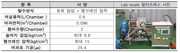 실험조건