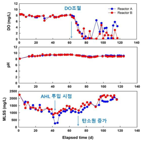 DO, pH, MLSS 변화