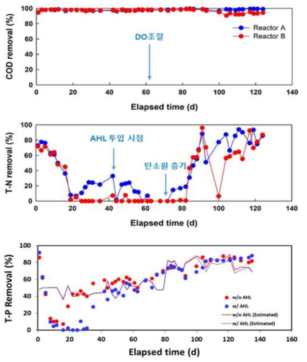 COD 및 T-N, T-P 농도 변화