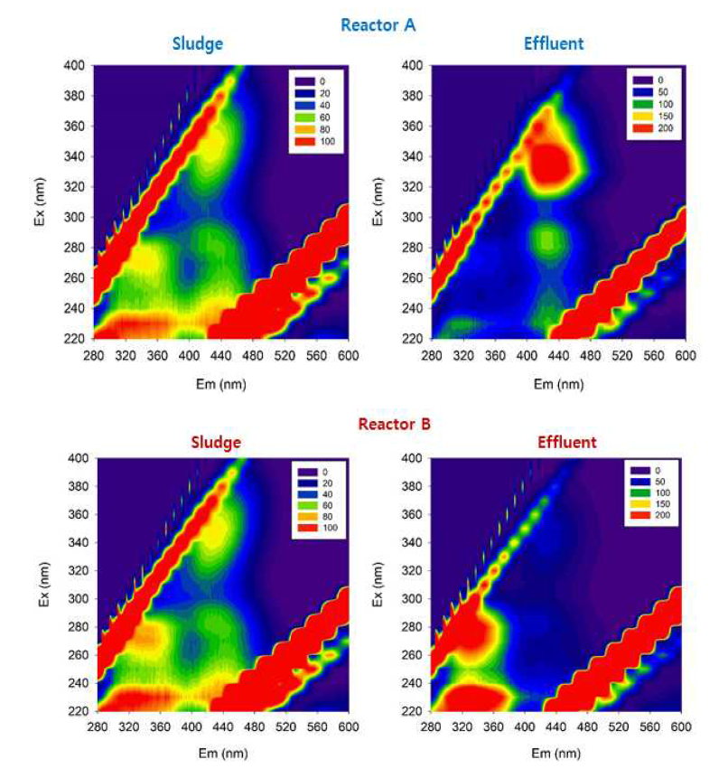 반응조 A, B의 Sludge 및 유출수 FEEM 결과