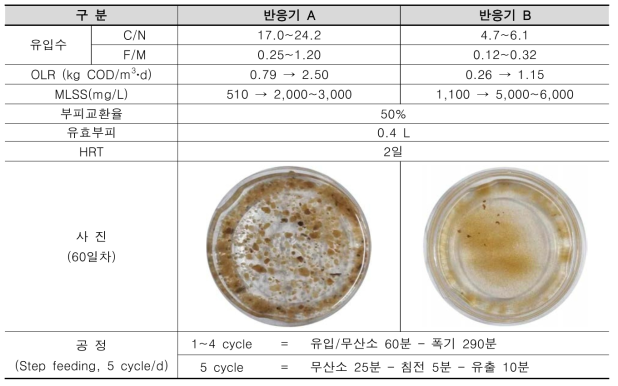 Lab-scale 반응기 운전조건