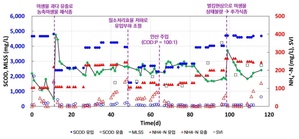 반응기 A 운전결과