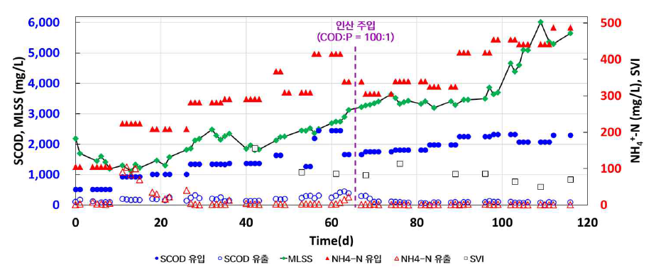 반응기 B 운전결과