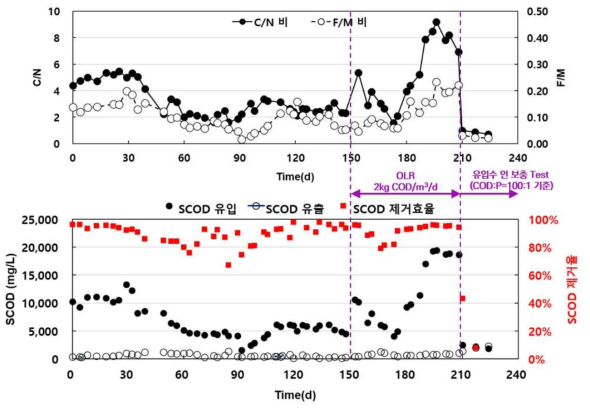 C/N 비, F/M 비, 유입수/유출수 SCOD 농도 및 SCOD 제거율