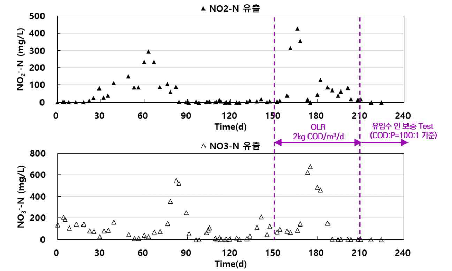 유출수 NO2 --N, NO3 --N 농도