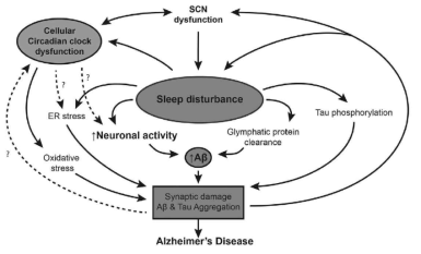 불면, 일주기 리듬의 장애와 알츠하이머병 간의 연관성