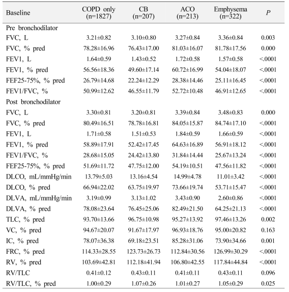 COPD 아형별 폐기능 검사 결과