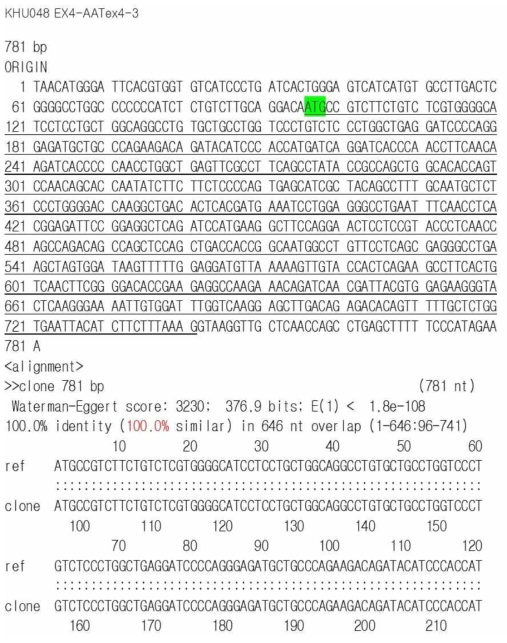 COPD 환자의 AAT exon 4번 염기서열 분석. reference 유전자와 100% 일치함