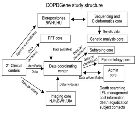 COPDGene 코호트 구조