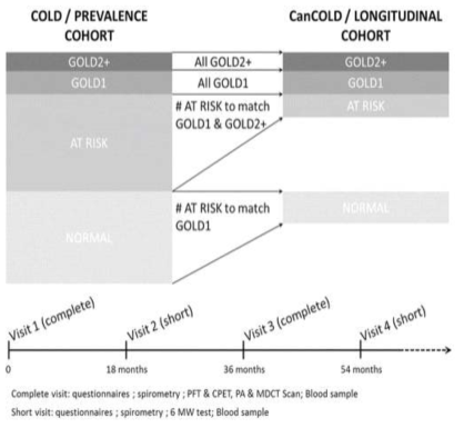 CanCOLD 코호트 연구 디자인