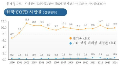 한국 COPD 사망률