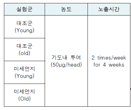 미세먼지 노출 동물모델 실험군 구성 및 노출 농도와 시간