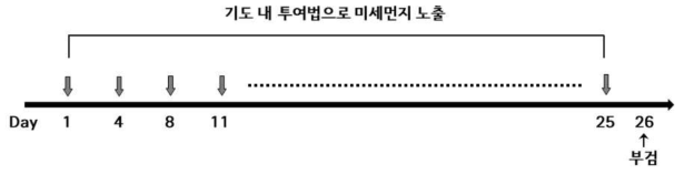 미세먼지 투여 time schedule