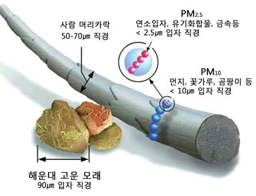 미세먼지의 크기 및 성분 (출처:환경부)