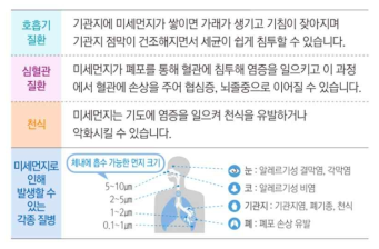 미세먼지 노출과 질환과의 연관성 (출처:환경부)