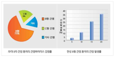 우리나라 간암 발병의 주요 원인