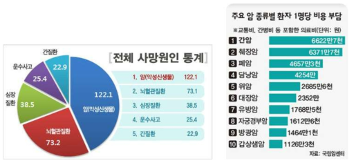 사망원인 통계 및 암환자별 비용 부담