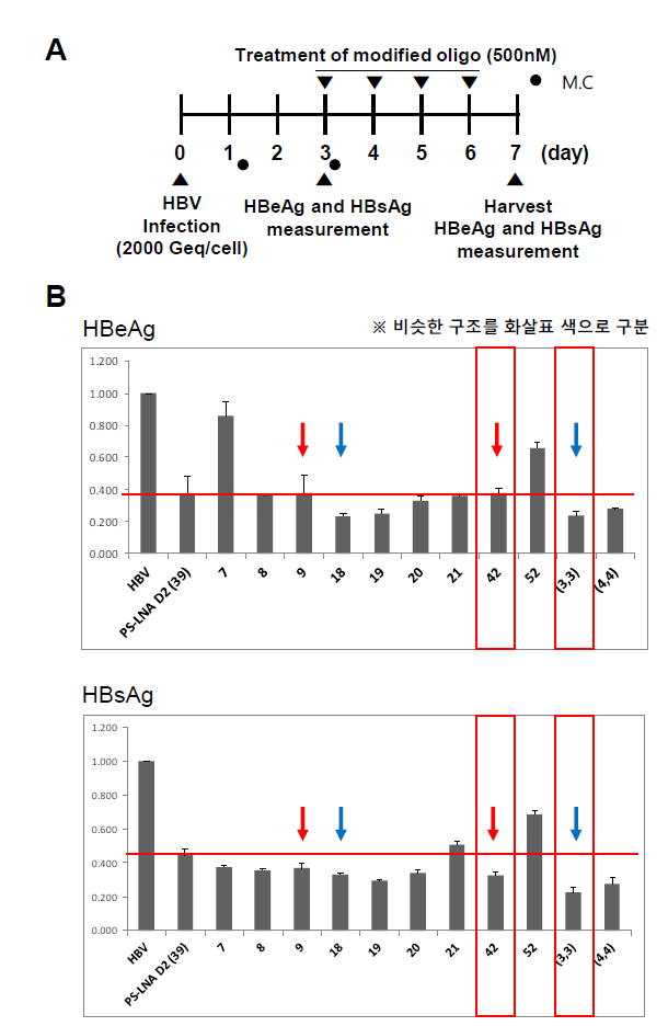 HepG2-NTCP에서 2종 선도물질의 cccDNA 저해 효과