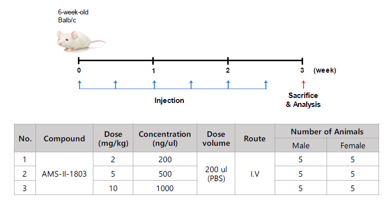 마우스에서 AMS-II-1803의 농도에 따른 독성 시험 구성