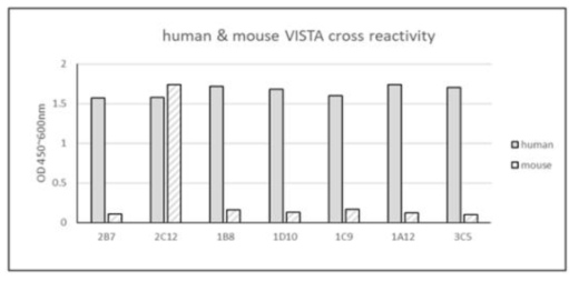 선별된 항체의 human 및 mouse VISTA에 대한 결합 ELISA 측정 결과
