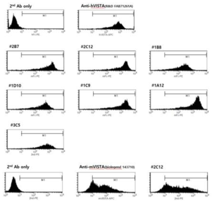 FACS binding analysis of selected antibodies to human and mouse VISTA