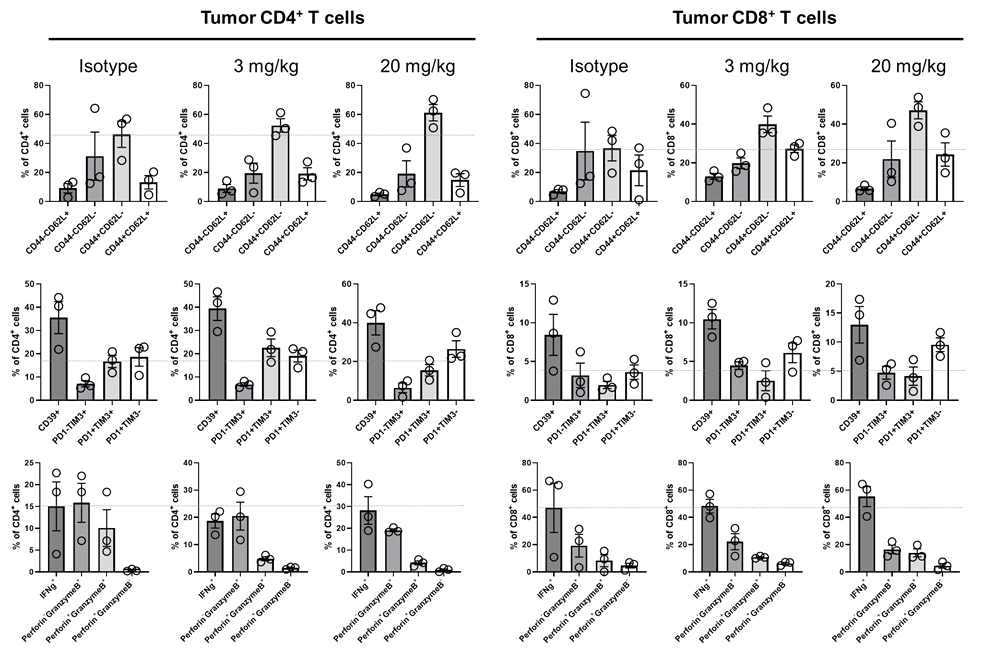 LLC/B6 anti-mVISTA i.v. 투여모델에서의 T 세포 면역관문물질 발현 및 세포